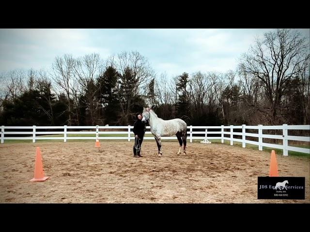 Violet (4/10/24). Groundwork circles!