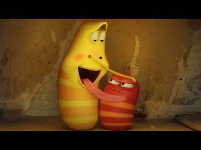 LARVA | WARM BOX | Cartoons For Children | LARVA Full Episodes | Cartoons For Children