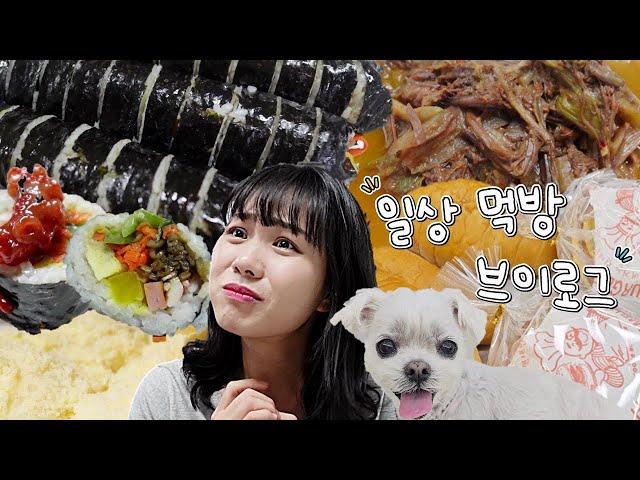 먹방을 일주일에 3일밖에 못 찍는 이유(김밥, 육개장, 낙지젓갈, 카스테라 인절미, 쑥콩찰떡, 햄버거, 소금빵, 신비복숭아, 자두, 꿀배버블, 포도버블, 일상 먹방 브이로그)