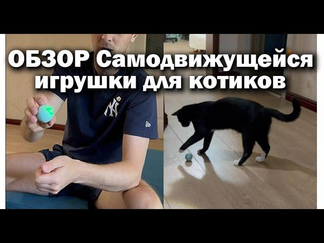 Распаковка электронной игрушки для котиков | zubarefff | Зубарев #обзор #кот