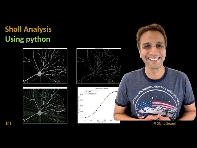 341 - Sholl Analysis using python coding