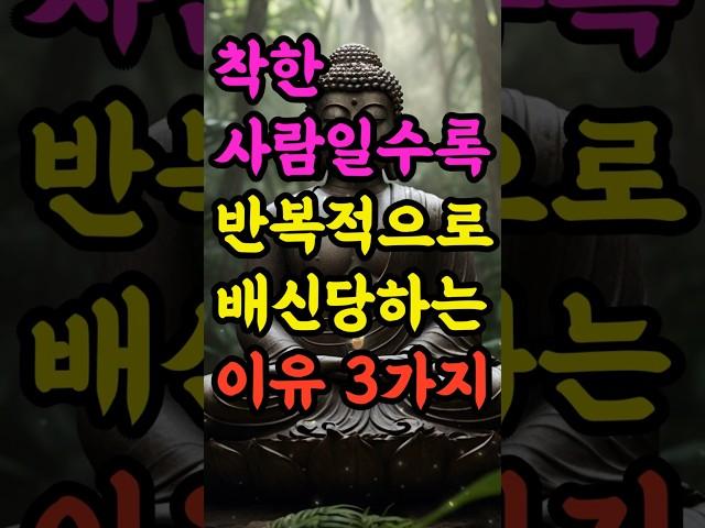 "착한 사람일수록 반복적으로 배신당하는 이유 3가지" #부처님말씀 #불교명언 #삶의지혜 #인생조언 #처세술 #감정정화 #불교지혜 #마음공부 #인간관계 #오디오북