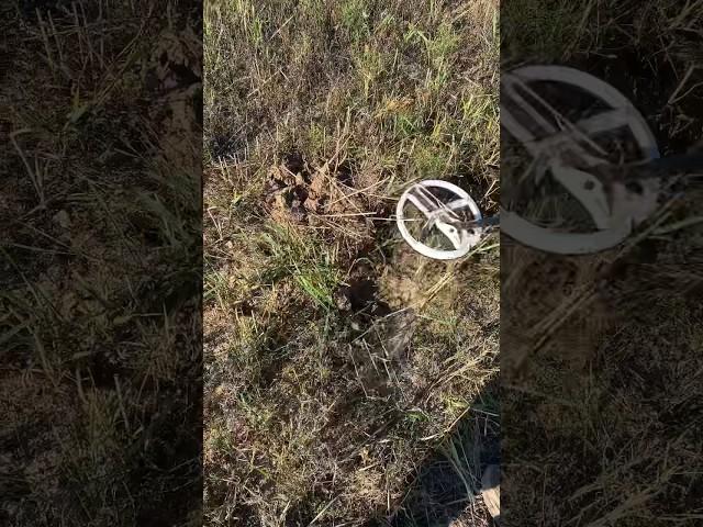 Наконец-то САМОРОДОК  #metaldetector #коп #металлоискатель #находки #minelab #coin #поискмонет #wa