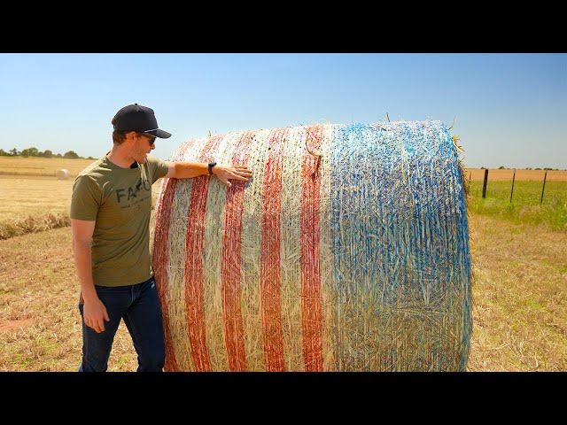 The most beautiful HAY BALES you'll ever see!