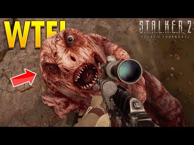 S.T.A.L.K.E.R. 2 - TOP 100 WTF & FUNNY Moments