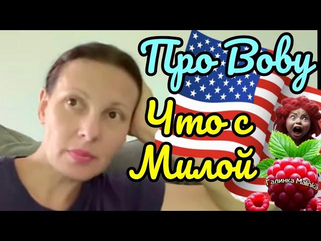 Big Big Family in the USA /Про Вову / Что с Милой /Обзор /Жизнь в Америке /США Vlog