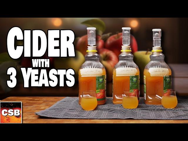 We Test 3 CIDER Yeasts - SAME Cider, Any Differences?