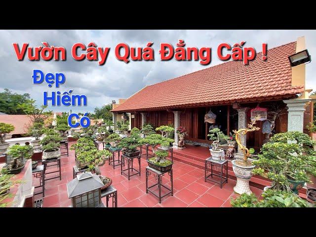 SÂN CÂY ĐẲNG CẤP * ĐẸP NHƯ CHỐN HOÀNG CUNG * của em ĐOÀN - Thủy Nguyên - Hải Phòng .