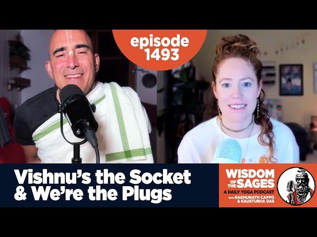 1493: Vishnu's the Socket and We're the Plugs