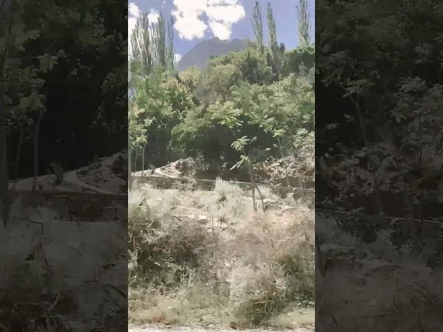 Nagar valley View || gilgit baltistan #shortvideo #nature #gilgit #gilgitbaltistan