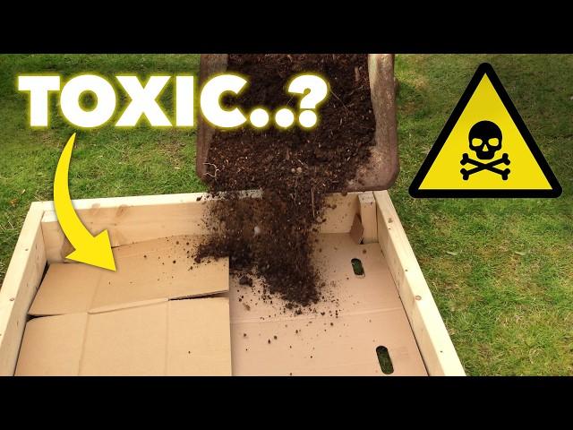 Is Cardboard Killing Your Garden?