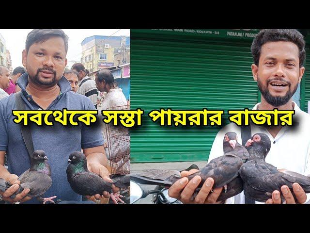 GARIA HAT TODAY | CHEAPEST PIGEON MARKET IN KOLKATA MONDAY AND FRIDAY