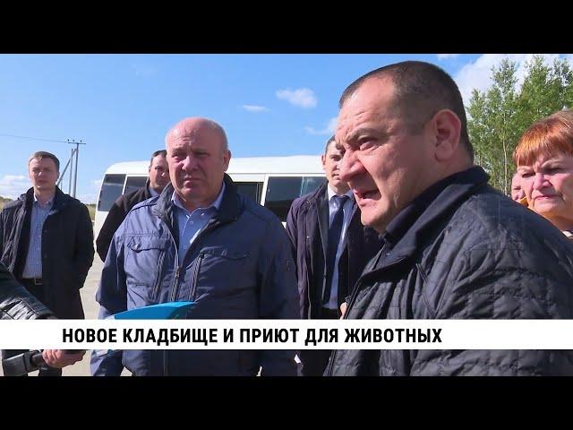 «Смотри Хабаровск» 03.10: приют для животных, заготовка силоса и турнир по голболу