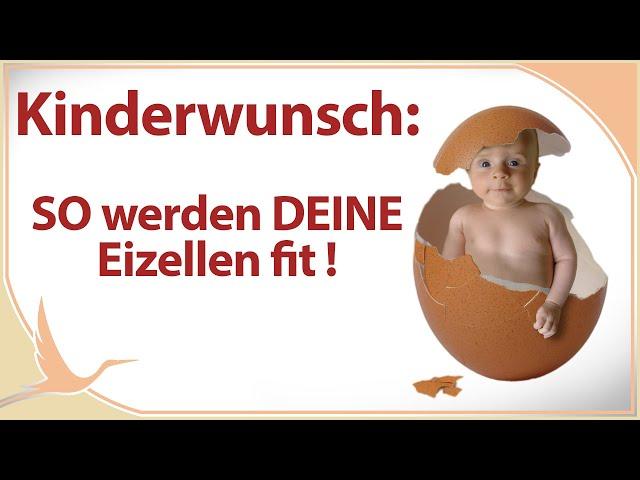 Kinderwunsch: So werden DEINE Eizellen fit |  (Heidi Gößlinghoff)