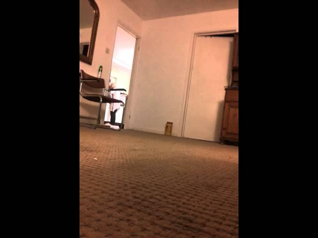 Nan scared of a sock rat