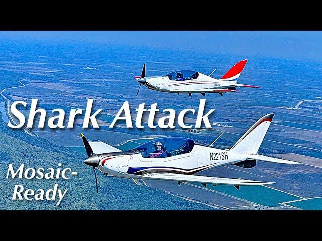 Shark, Mosaic-Ready Light-Sport Aircraft — Nov 2024