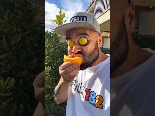 He Tried My Oranges… And Instantly Regretted It! ️ You Won’t Believe Why!