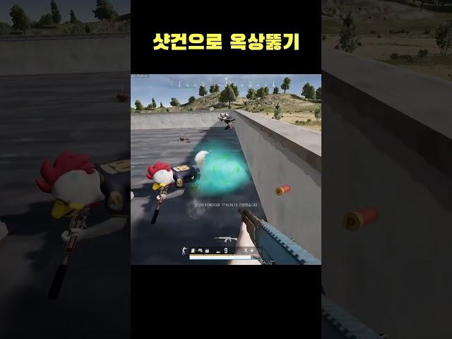 샷건으로 옥상 뚫기~   #Shorts #바실리