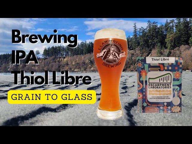 Brewing IPA With Thiol Libre Yeast NOT PHANTASUM