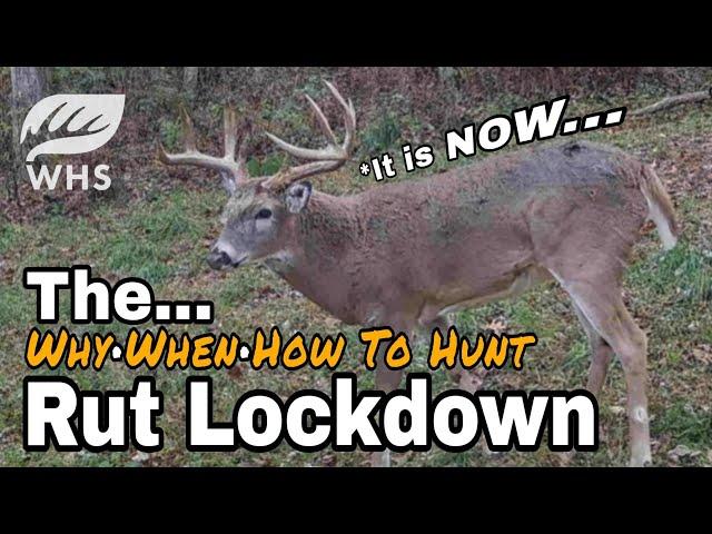 The Rut Lockdown And How To Hunt It