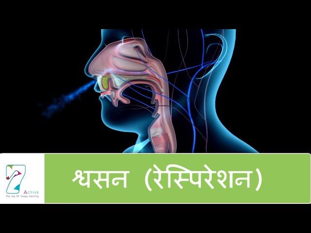 श्वसन | Respiration | Hindi