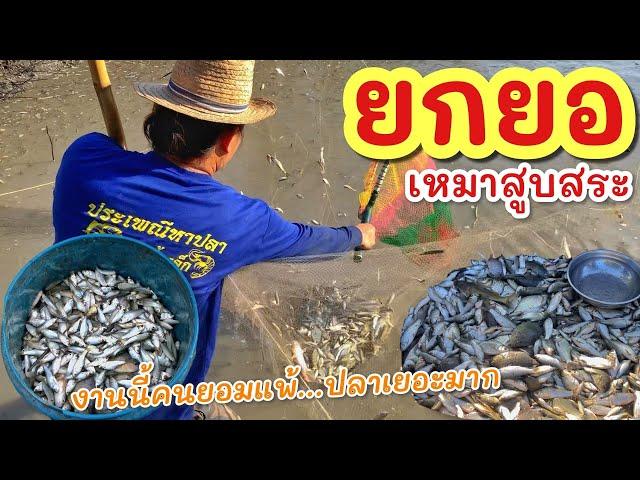 ยกยอ สูบสระปลาเยอะมากกลางทุ่งนา ►Fishing lifestyle Ep.783