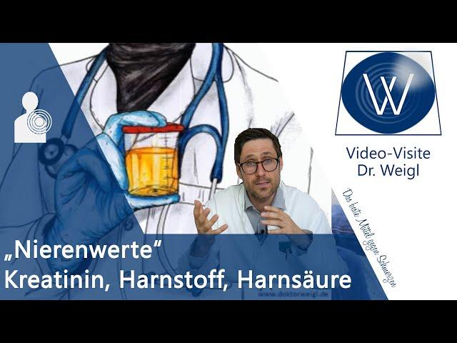 Erhöhte Nierenwerte in Blut & Urin  Kreatinin, Harnsäure, Harnstoff & Cystatin C verbessern