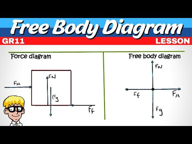 Grade 11 Newton Laws: Free body and force diagram