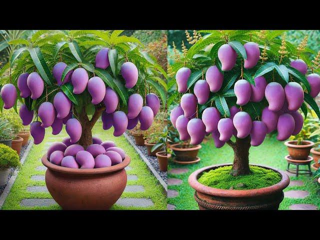 LIVEGrow Fruits Trees Faster with These Pro Tips To Produce Amazing Fruits!