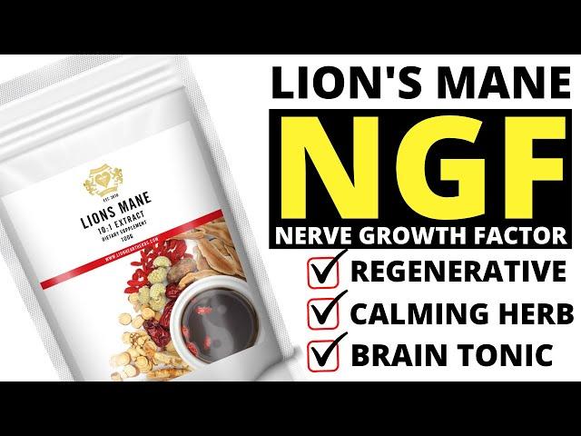 Lion's Mane Mushroom: Nerve Growth Factor (NGF). Regenerative. Calming Herb. Brain Tonic.