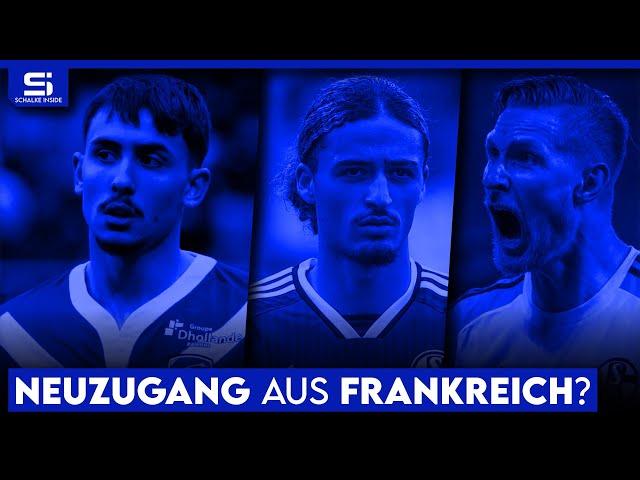 Holt Schalke Hamache? Transfer-Wende bei Polter? Talente vor Debüt? 7 Spieler fallen aus! | S04 NEWS