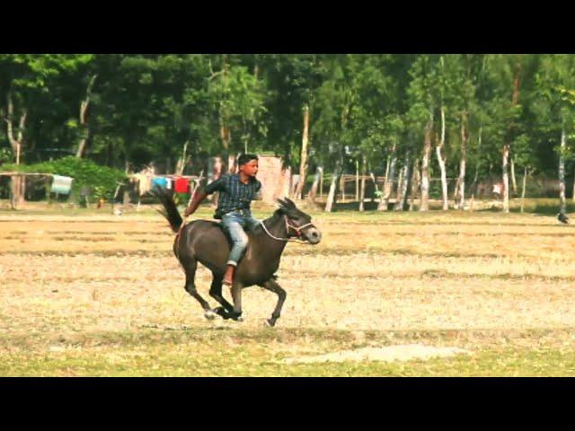 Bangladeshi boys horse racing in village || amazing horse racing 2020 Bangladesh