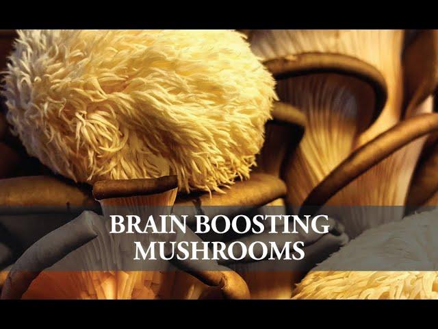 SHORT #15 Dr. Lisa Broyles on Brain Boosting Mushrooms - Cutting Edge Health Podcasts