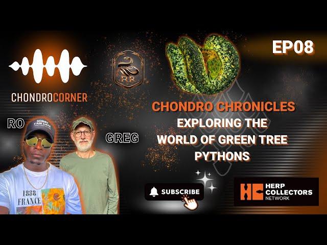 Chondro Corner Episode 8:  The Chondro Chronicles - Exploring the World of Green Tree Pythons