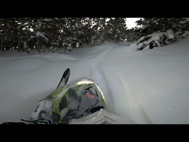 Skidoo 850 turbo (Alaska tree riding and hill climbs)