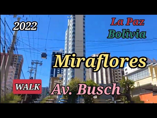 (WALK) Av. Busch in Miraflores, La Paz, Bolivia 라파스 미라플로레스 동네의 부시 거리 걷기 Ep 041