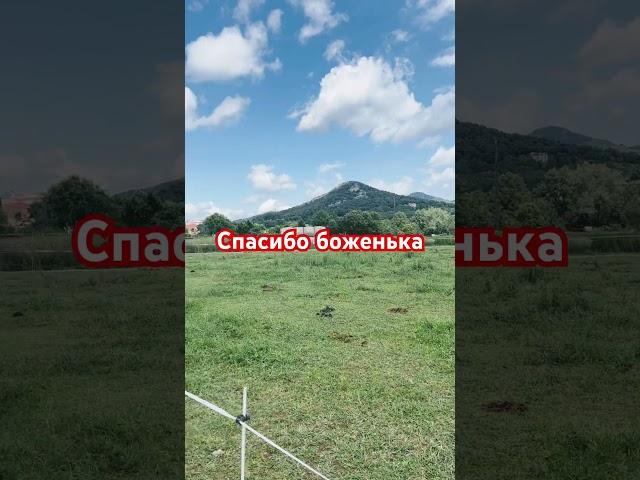 Мудрость #мудростьдня #цитата #мысливслух #