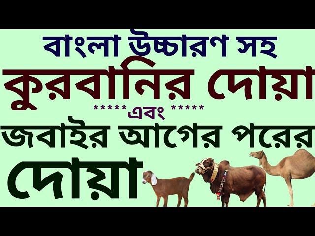 কোরবানির পশু জবাই করার দোয়া | কুরবানী করার দোয়া | কোরবানির দোয়া ও নিয়ত | কোরবানির দোয়া বাংলা