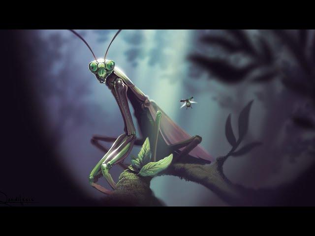 Red Production - Mantidae