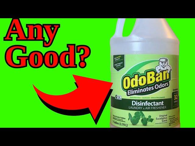 OdoBan Disinfectant Concentrate and Odor Eliminator, 4 Gallons, Original Eucalyptus Scent