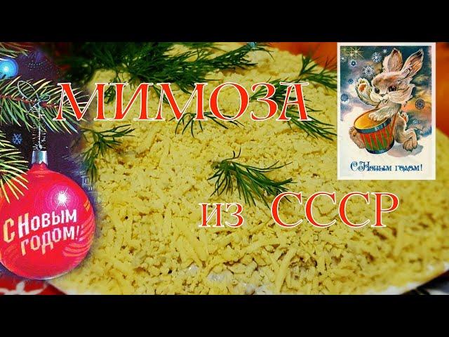 Рецепт салата МИМОЗА! Тот самый РЕЦЕПТ из СССР