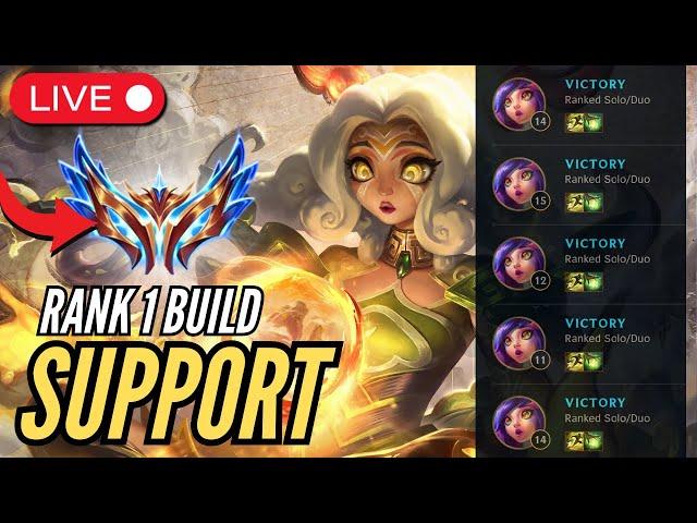 Learn Neeko Support Correctly - Full Educational Games on main Account