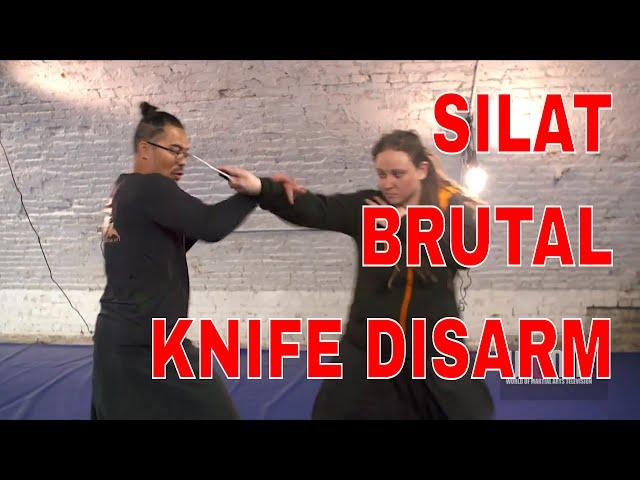 BRUTAL KNIFE DISARM 2 SILAT