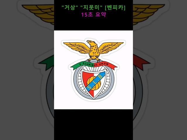 #장사의신 #벤피카 15초 요약 (Gr8 selling club)