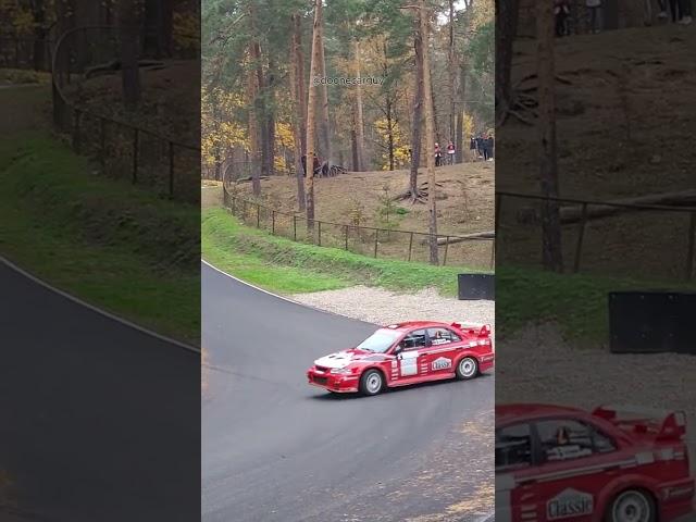 Rally is THE BEST Motorsport. #shorts #cars #rally (@aleksandrbaranovskis) on TikTok