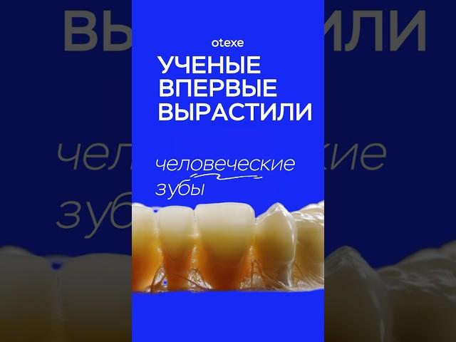 Ученые впервые вырастили человеческие зубы! #стоматолог #стоматология #врачстоматолог #зубы