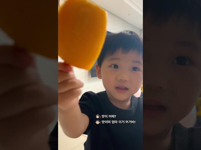맛있는거 엄마 먹어보라고 주는 아들래미 #아들맘 #육아 #일상 #먹방 #아이스크림