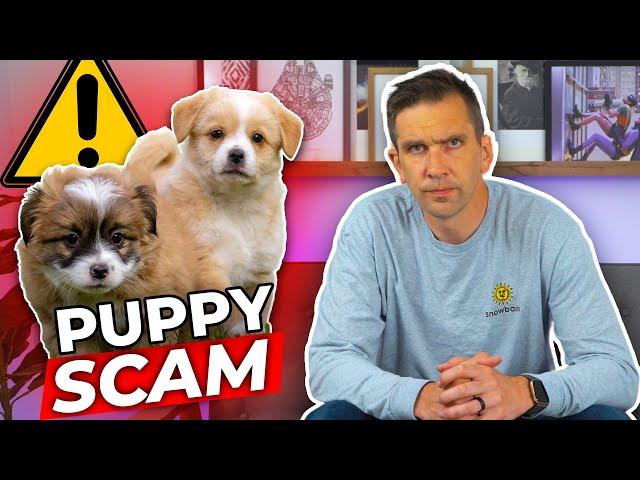 Watch Out For Puppy Scammers!