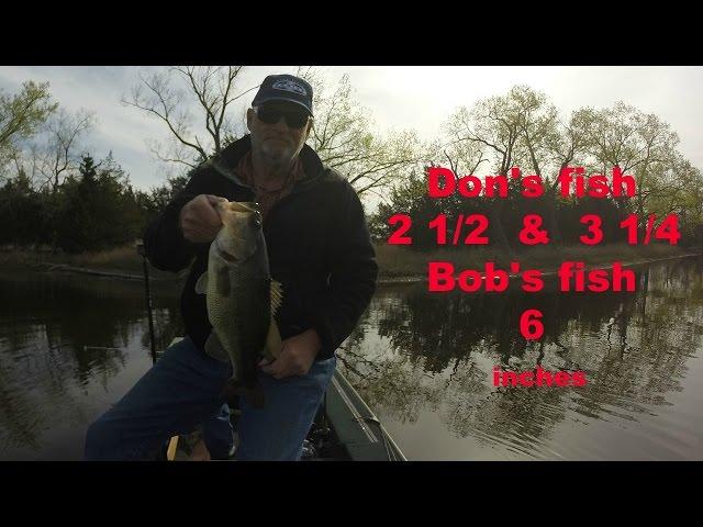 Don's fish 2 1/2 and 3 1/4 Bob's fish 6 inches