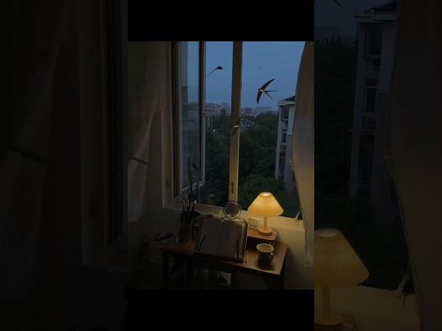 Конец дня #поэтично #romantic #art #love #романтика #стихи #свет #travel #душа #светвнутри